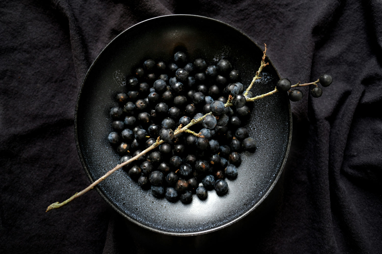 Foraged Foods